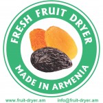 Fresh Fruit Dryer 